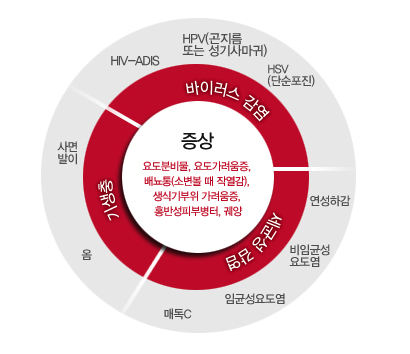 성병의 원인 인포그래픽 - 바이러스 감염(HPV 곤지름/성기사마귀, HSV 단순포진, HIV-ADIS), 세균(매독C, 임균성요도염), 몸균 유관님(비임균성 요도염, 연성하감), 사면발이, 옴 / 중앙 증상: 요도분비물, 요도가려움증, 배뇨통(소변볼 때 작열감), 생식기부위 가려움증, 홍반성피부병터, 궤양